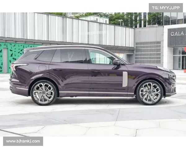 百万级豪华 SUV：以乒乓哲学驾驭灵活与力量的机械美学